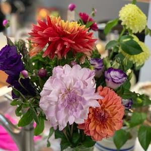 Meet your Posher, Wendy